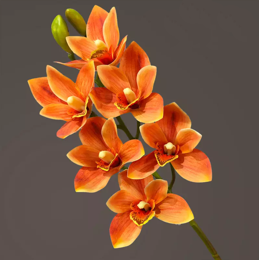Orquídea rojo a domicilio, Flores de Cymbidium