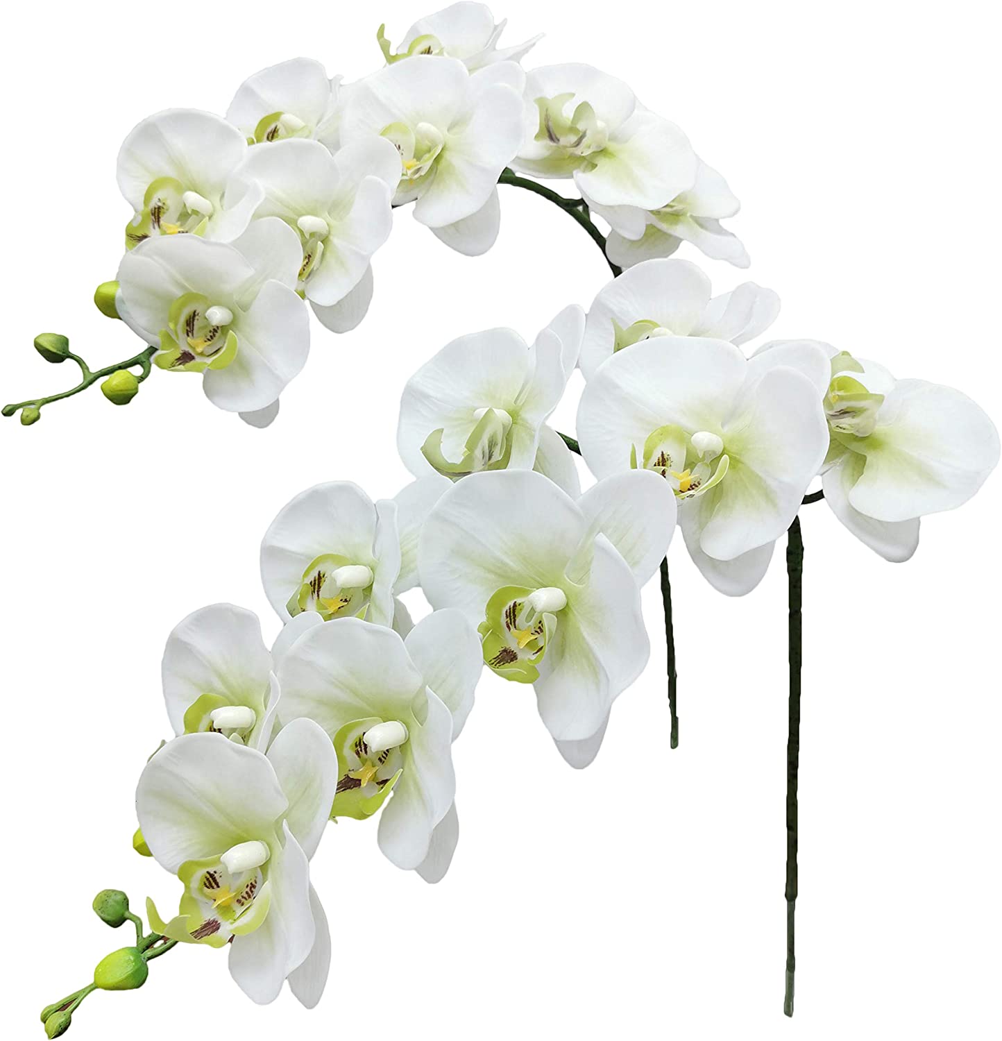 Vara de Orquídea Látex YBL125