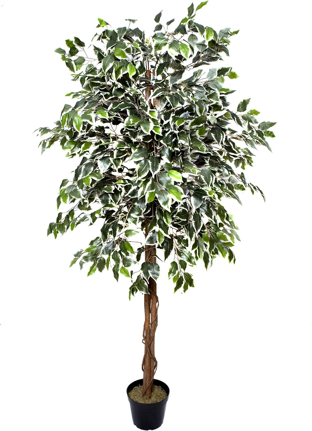 Árbol Ficus Artificial - YBL227