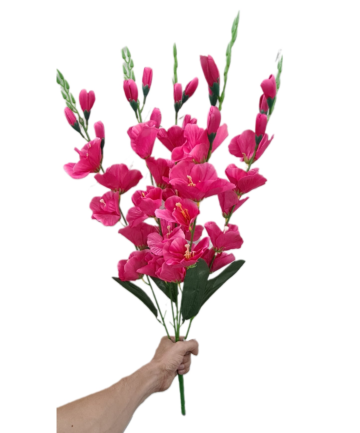 Ramo Gladiolas x5 - PD110