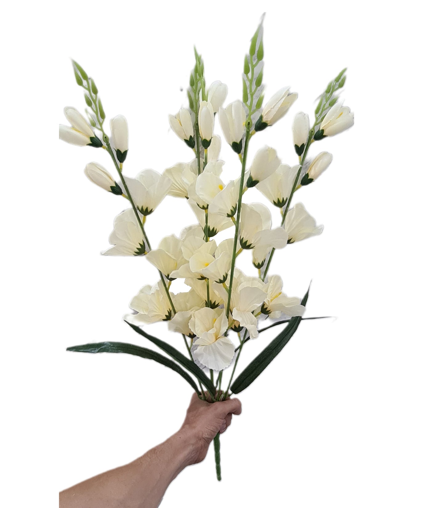 Ramo Gladiolas X5 - PD111