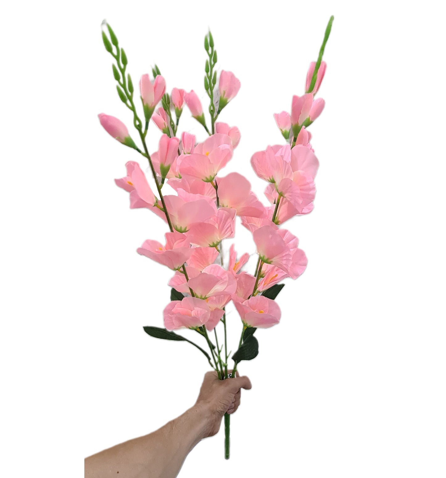 Ramo Gladiolas x5 - PD110