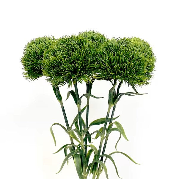 Tallo Dianthus Artificial - YBL243