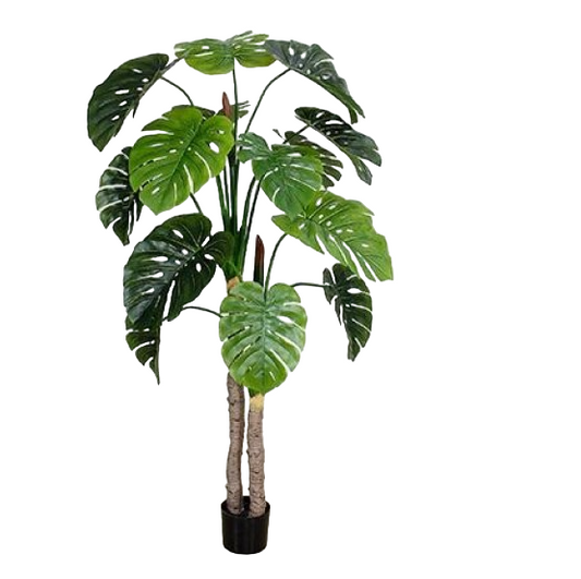 Planta Monsterra Artificial - YBL214