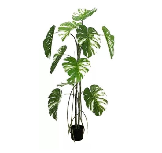 Planta Monsterra Artificial - YBL215