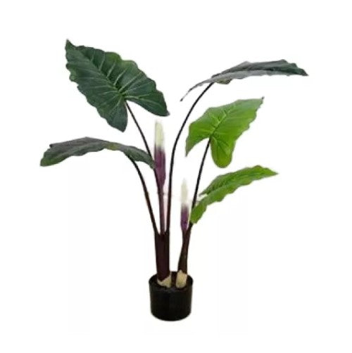 Planta Artificial Oreja de Elefante - YBL220