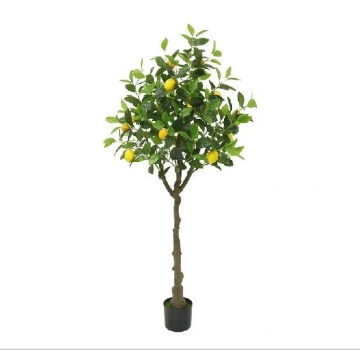 Árbol Limón Artificial - YBL226