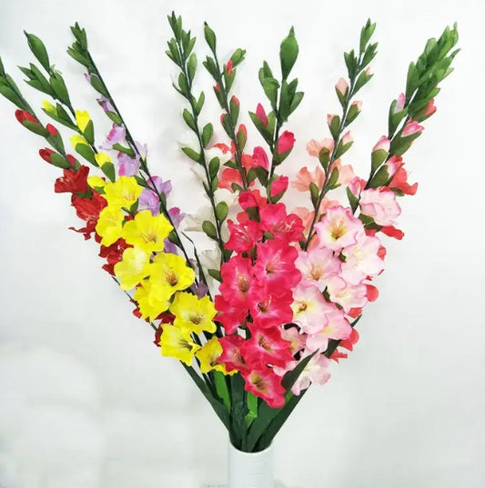 Vara de Gladiola YBL134