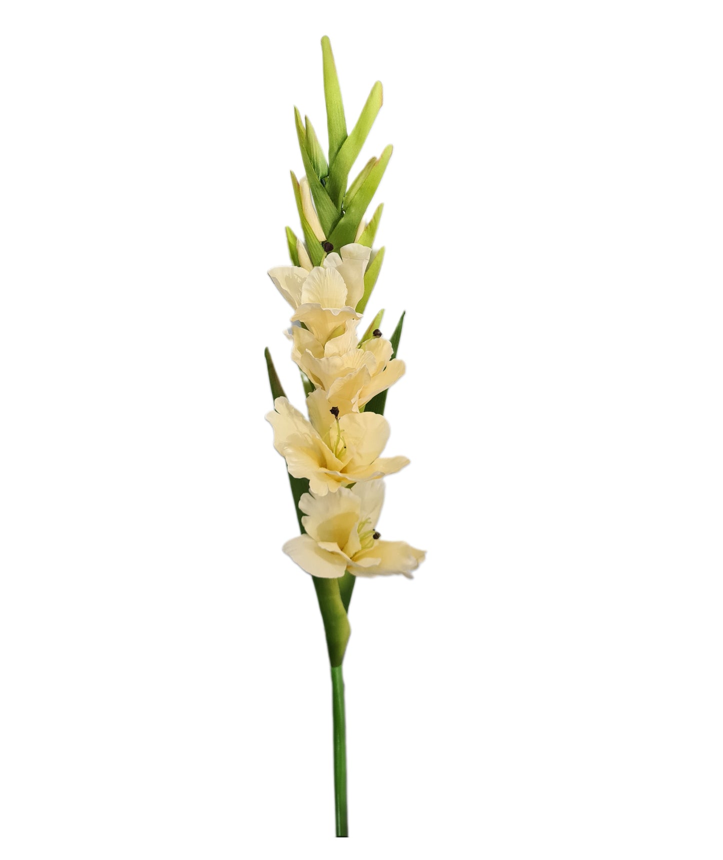 Vara Gladiola Artificial - PD118