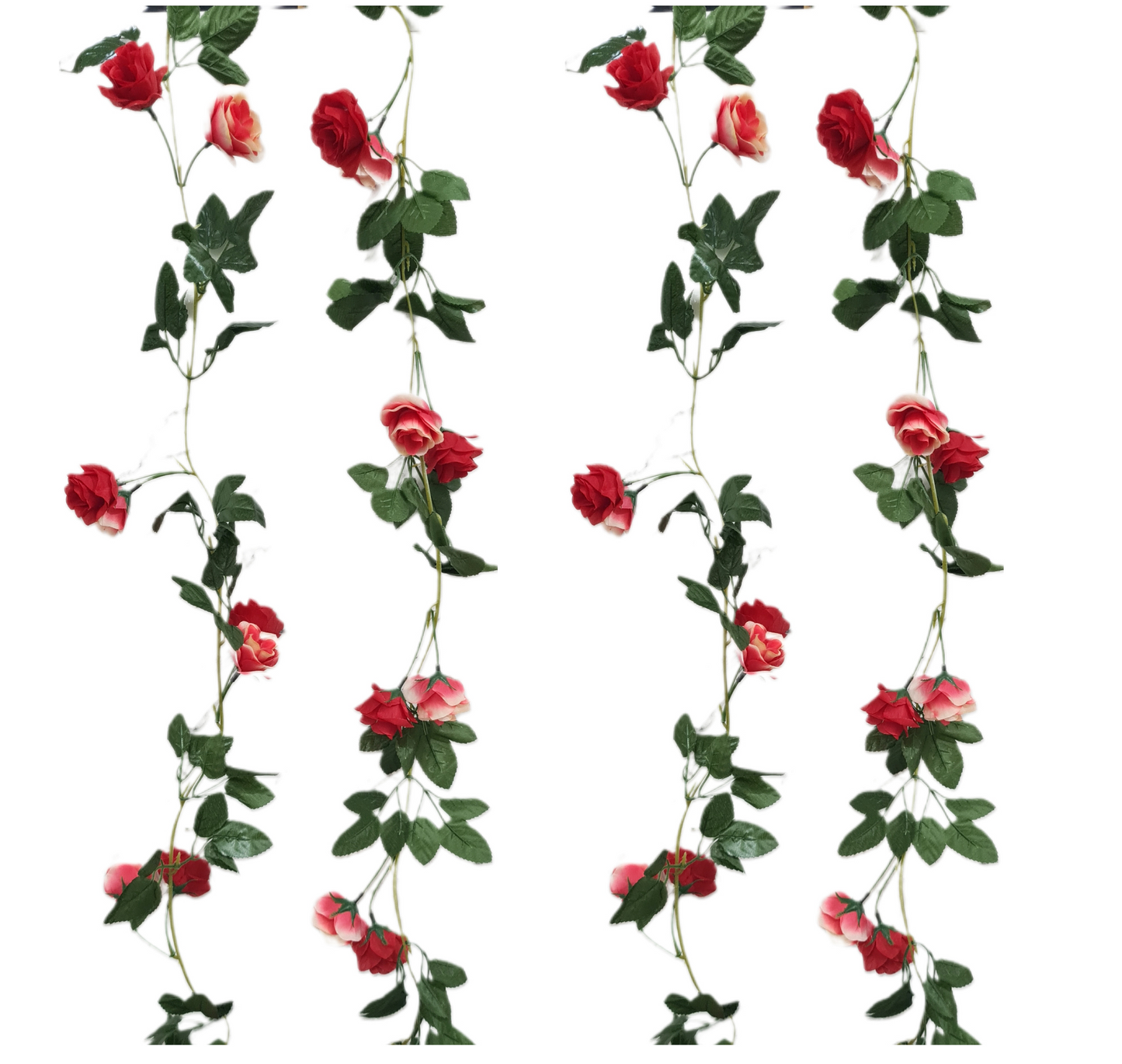 Guia Enredadera Mini Rosas - PD033