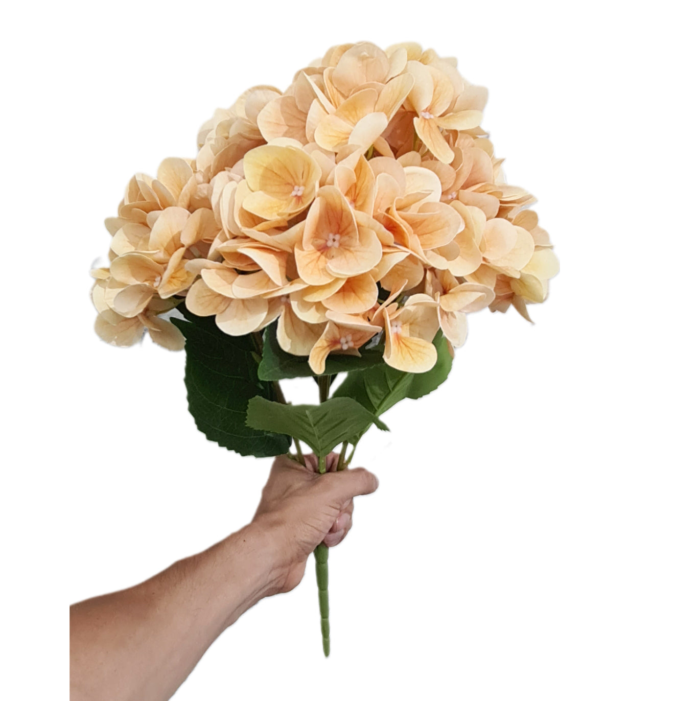 Bouquet Ramo Hortensias X5 - CL023