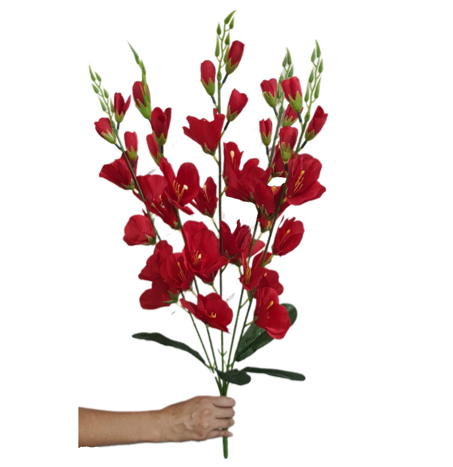 Ramo Gladiolas X5 PD055