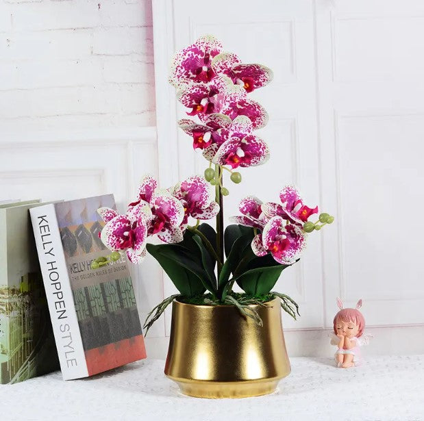 Orquídea Premium Tacto Real en Maceta YBL044