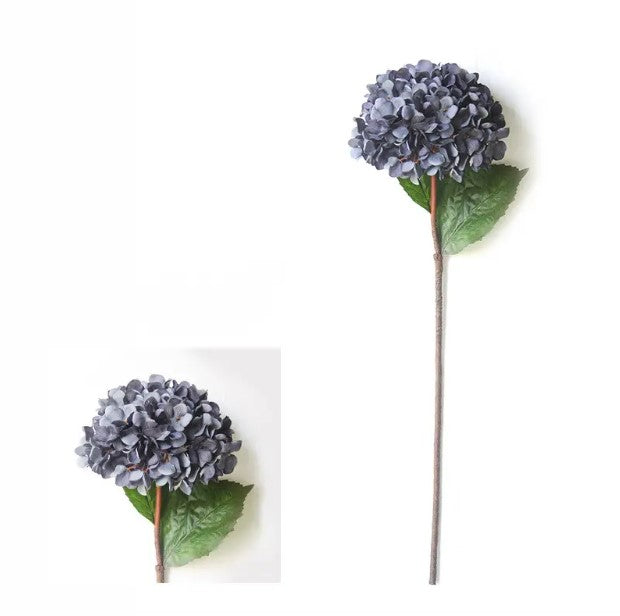 Vara Hortensia XL YBL115