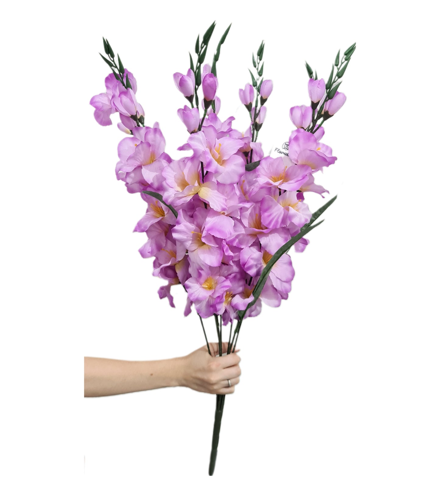 Vara de Gladiola X7 - CL003