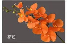 Vara de Orquídea Látex YBL125