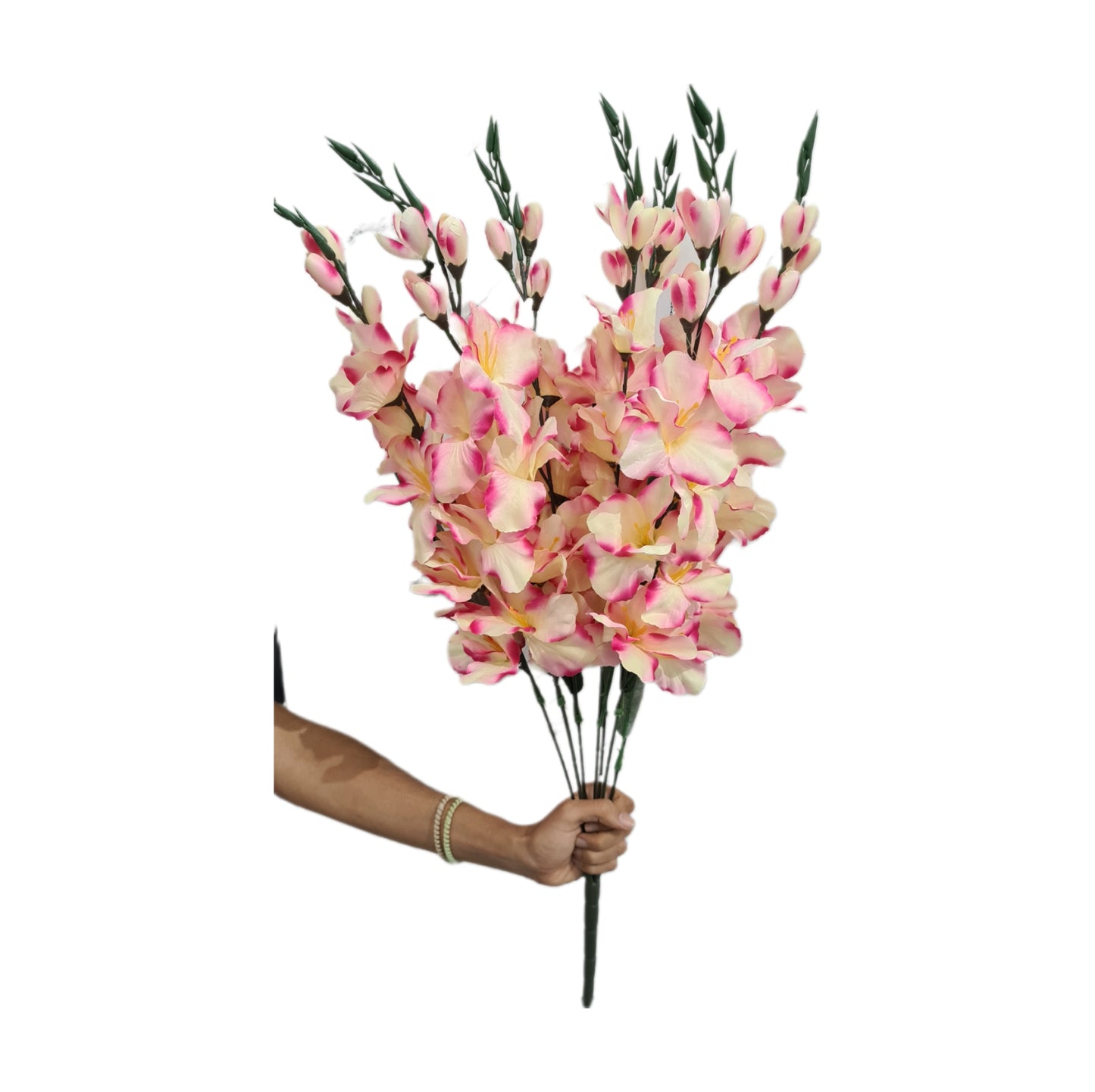 Vara de Gladiola X7 - CL003