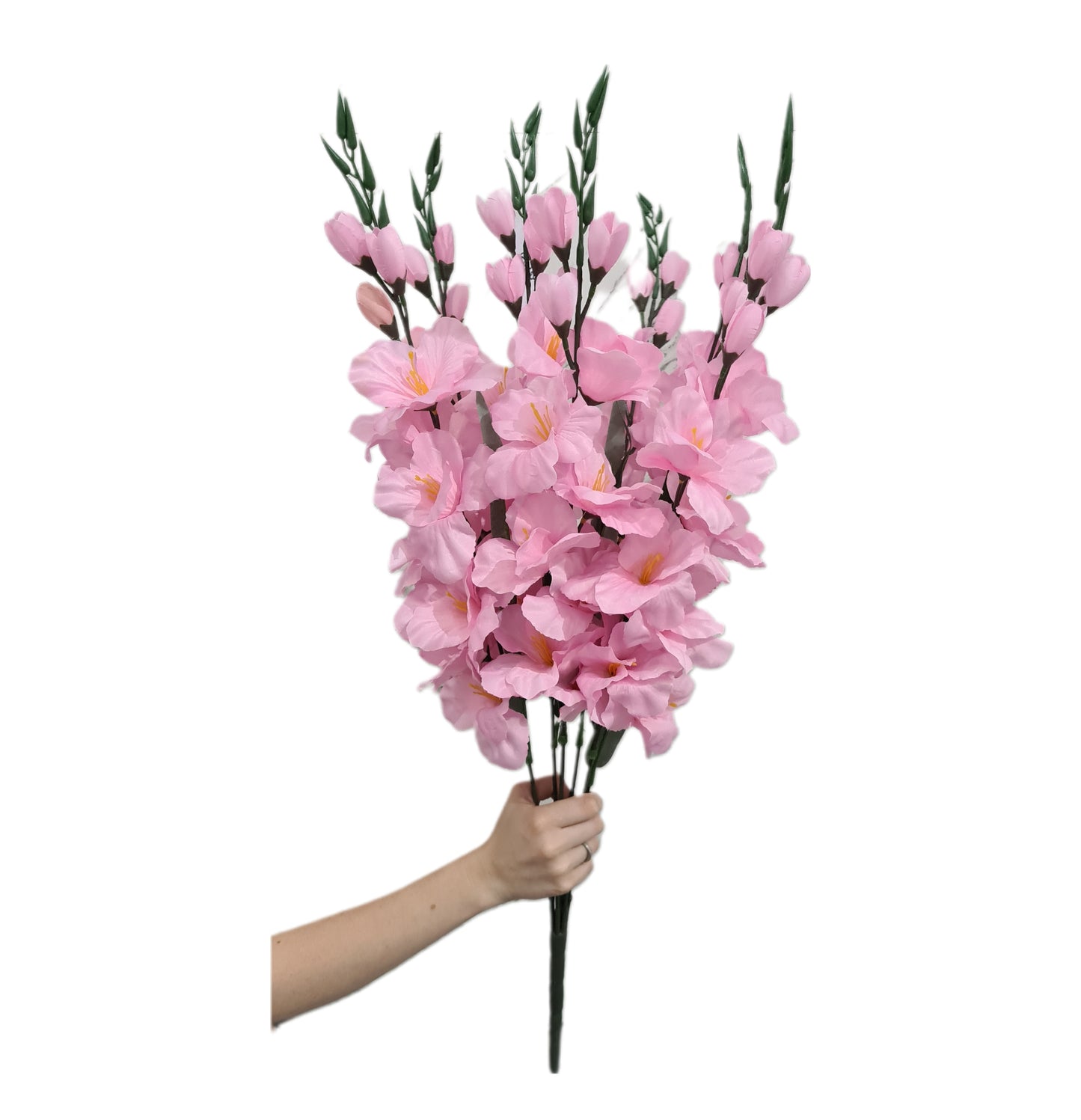 Vara de Gladiola X7 - CL003