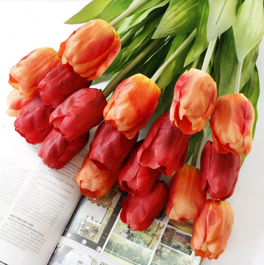 Tulipán Premium Pieza YBL042