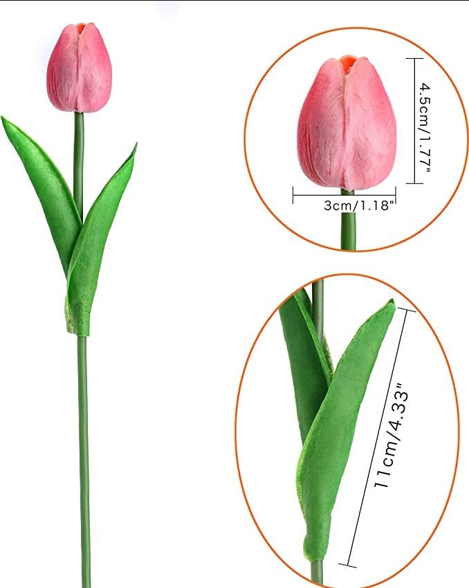 Tulipán Pieza YBL041