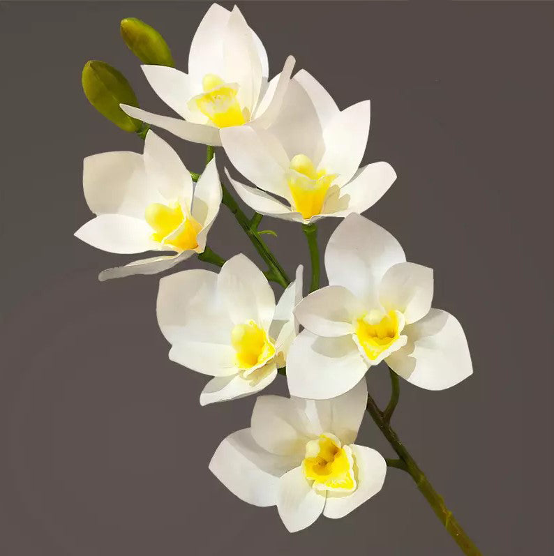 Vara de Orquidea Cymbidium 6 Cabezas YBL046