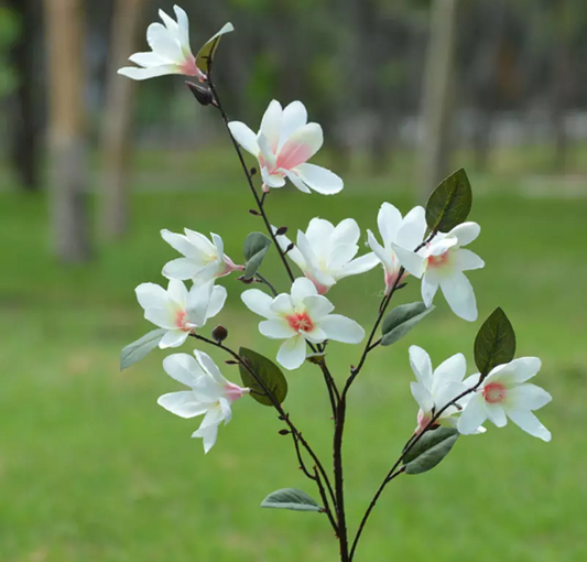 Rama de Magnolias YBL054