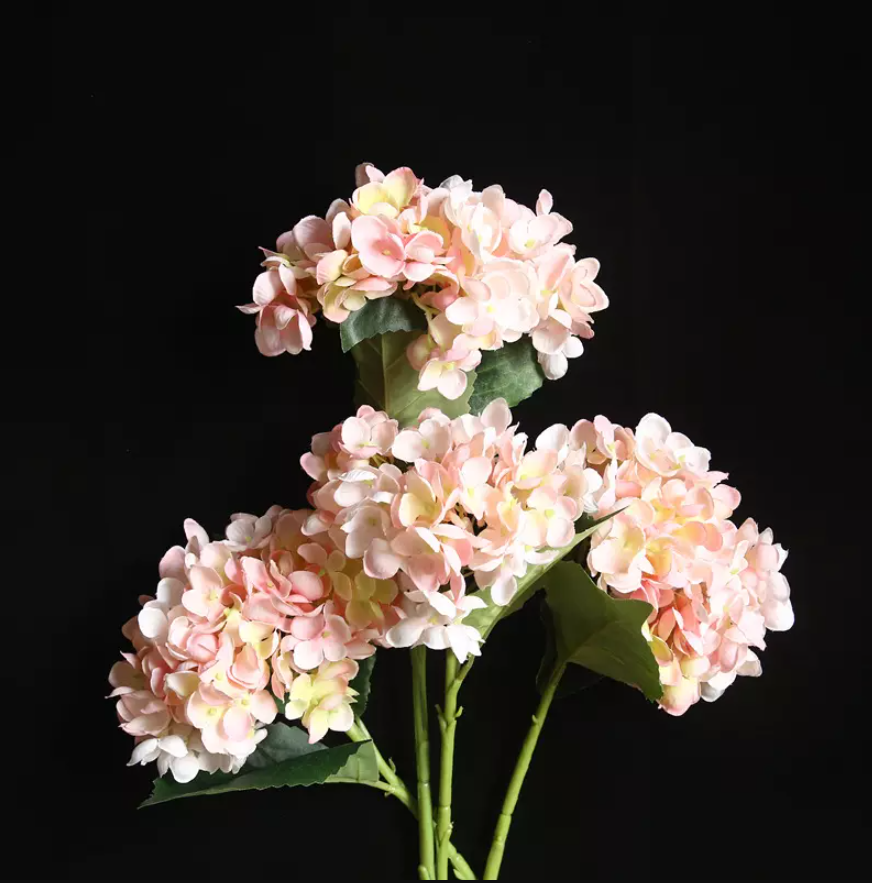 Vara de Hortensia YBL053