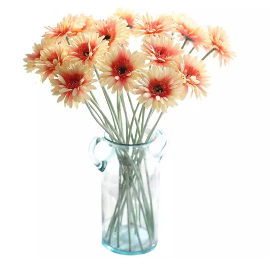 Margarita Gerbera YBL061