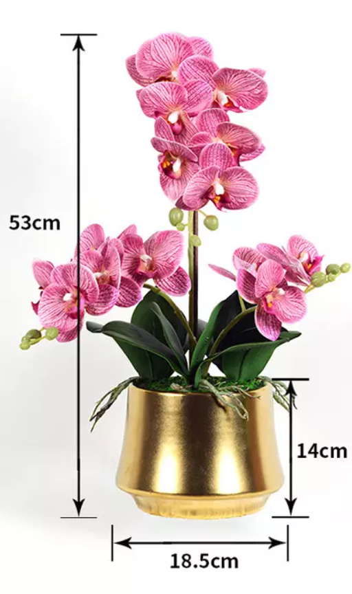 Orquídea Premium Tacto Real en Maceta YBL044