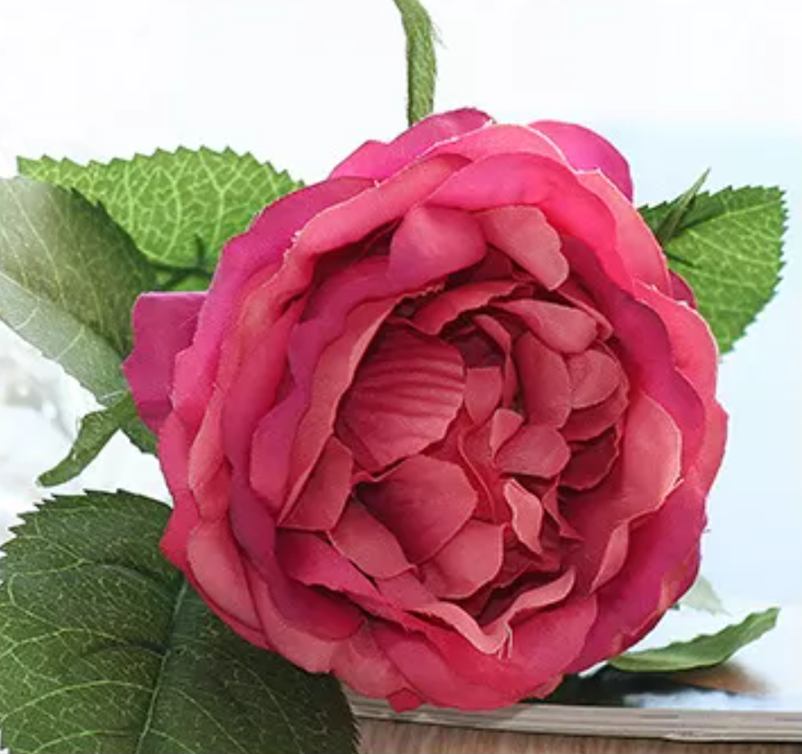 Peonia Pieza YBL034