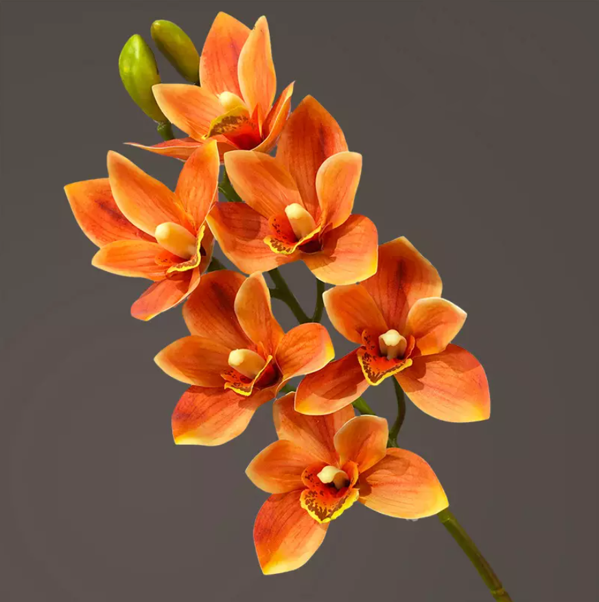 Vara de Orquidea Cymbidium 6 Cabezas YBL046