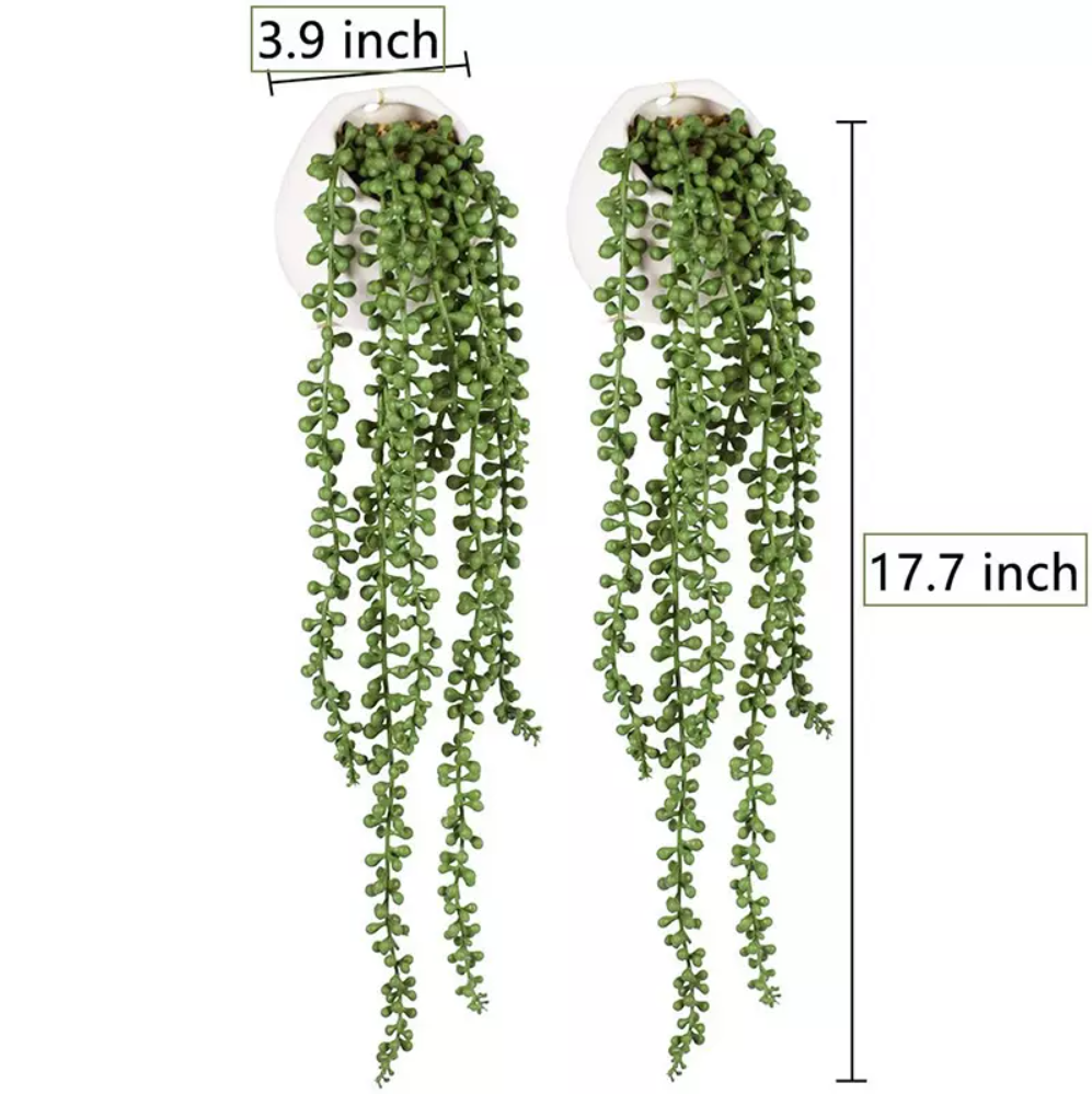 Colgante de Suculenta YBL072