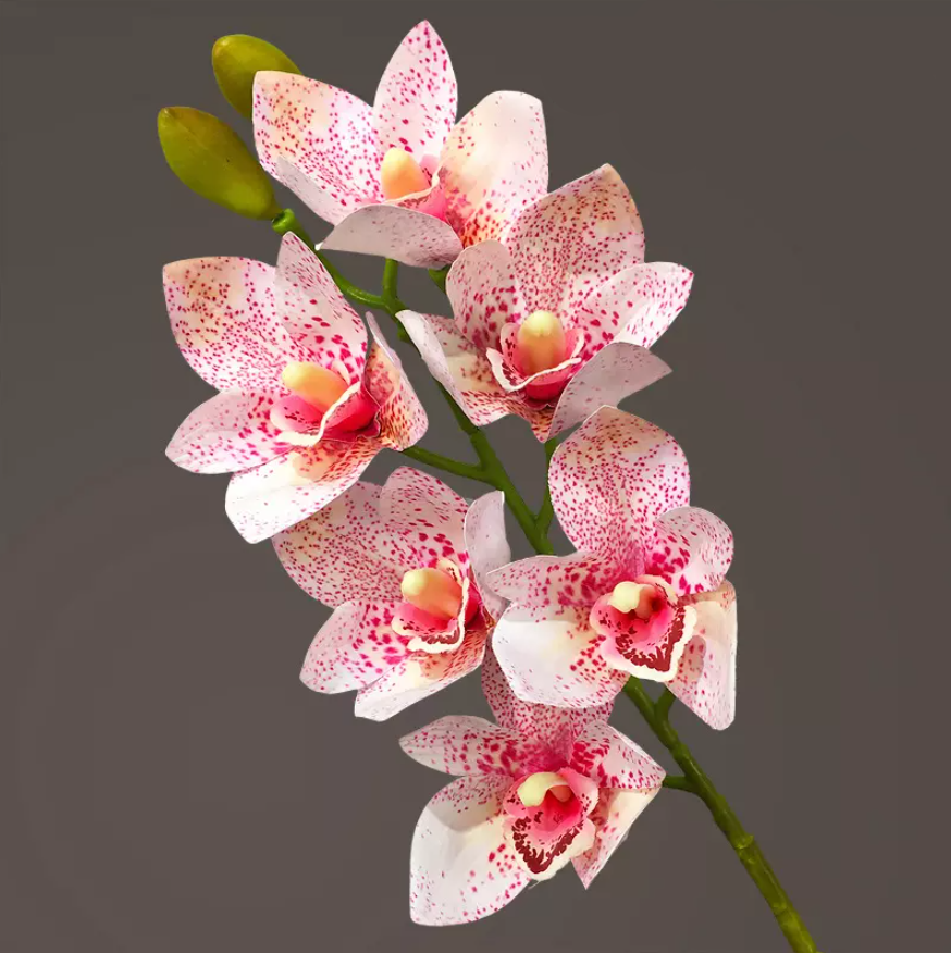 Vara de Orquidea Cymbidium 6 Cabezas YBL046